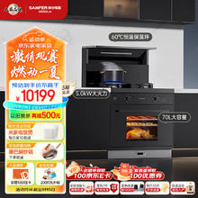 SANFER 帅丰 TJ2-7B 集成灶