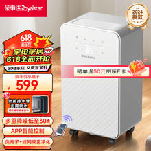 Royalstar 荣事达 除湿机/抽湿机 家用卧室除湿器 12L/天除湿量 负离子空气净化 轻音除湿