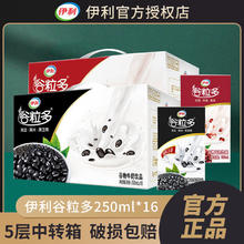 yili 伊利 官方直营丨伊利谷粒多红谷黑谷250ml*16盒牛奶整箱早餐奶5月