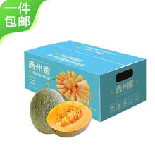 Mr.Seafood 京鲜生 甘肃西州蜜哈密瓜 2粒装 单果2斤起 净重4.5斤起