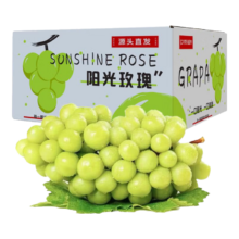 京鲜生国产阳光玫瑰葡萄4.5-5斤装单果10-13g