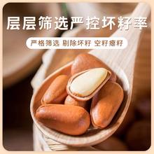 东北松子新货开口松子手剥特产批发炒货坚果干果年货零食大礼包