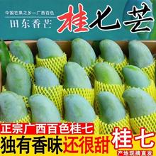 玫致 广西百色田东桂七芒新鲜当季水果花皮青芒果 拍2份合发 应季桂七芒 1份 4.5斤 净重4.25斤