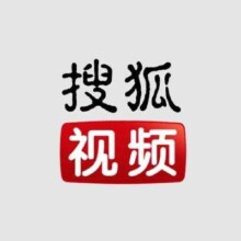 搜狐视频会员年卡 到账12个月