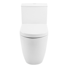 DURAVIT（杜拉维特）家用马桶 无缝冲水虹吸式坐便器 抗菌节水普通马桶盖 217301 （连体式-305坑距）