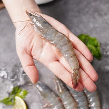 XIAN YAO 鱻谣 盐冻大虾白虾 40-50 净重1.5kg