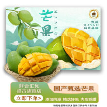鲜合汇优海南水仙芒 精选新鲜中果 时令水果 9-10斤整箱