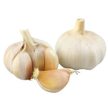 家美舒达 京百味 大蒜 750g 简装 新鲜蔬菜