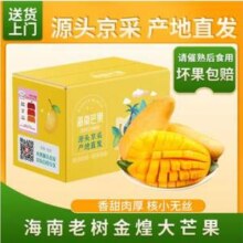 京鲜生 海南金煌芒果 9斤装 单果200g+