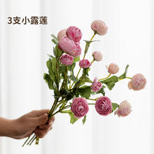 无与伦比 高级感花瓶摆件玻璃水培吊钟雪柳马醉木水养插花鲜花客厅落地装饰