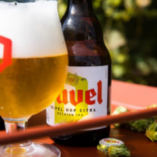 Duvel 督威 比利时原瓶进口三花精酿啤酒 330mL 6瓶