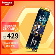 FANXIANG 梵想 1TB SSD固态硬盘 M.2接口NVMe协议PCIe 4.0x4 长江存储晶圆