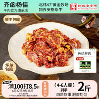 齐函杨佳 齐齐哈尔东北烤肉传统拌肉烧烤食材 安格斯牛肉 家庭组合装 4-6人餐 到手2斤肉