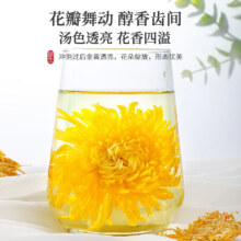 PLUS：沁晚香 【金丝皇菊】10大朵 金丝皇菊大朵菊花茶特级养肝去火一朵一杯独立包装黄山特供泡水喝