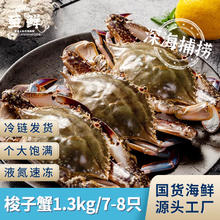 至鲜 梭子蟹1300g/7-8只