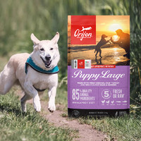 Orijen 渴望 大型犬幼犬鸡肉犬粮 5.9kg 效期24-11