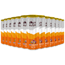 北冰洋苏打汽水 百香果味苏打水 听装碳酸饮料  330ml*12听
