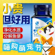 创宁 硝化细菌 30粒/瓶