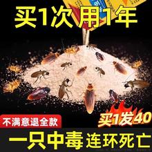 蟑螂药强效家用一窝端室内厨房无蟑神器全克星大胶剂灭杀诱饵杀虫