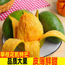YANXIAOHONG 颜小荭 四川攀枝花凯特芒 4.5-5斤严选大果