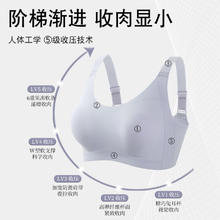 FENTENG 芬腾 内衣女士无钢圈灰紫 L