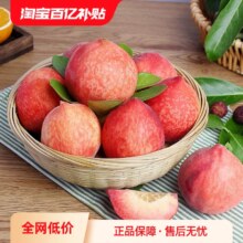淘宝买菜 正宗山西水蜜桃 3斤大果（单果180g-200g）