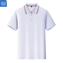 真维斯（Jeanswest）短袖POLO衫 *3件