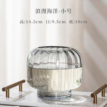 无与伦比 水培器皿创意玻璃花盆水养植物白掌红掌绿萝大号花瓶透明插花摆件
