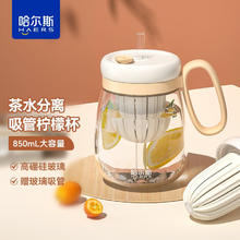 今日必买：HAERS 哈尔斯 玻璃杯泡茶杯 850ml