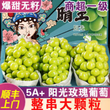 阳光玫瑰葡萄晴王葡萄新鲜水果当季整箱无籽甜香印提子顺丰 5斤【单果7-10g】爆甜无籽