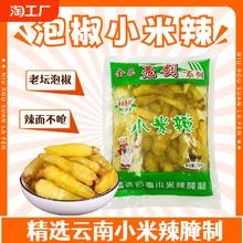 泡椒云南特产小米辣餐饮家用大包装泡菜野山椒小米椒剁椒鱼头调料