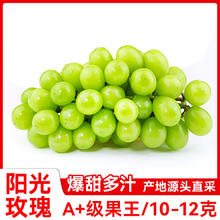 云南阳光玫瑰 3斤