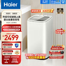 Haier 海尔 刷鞋机 洗衣机小型 全自动5KG洗鞋洗脱一体电离除菌BB洗鞋机母婴呵护HQ1-TB278G燕羽灰