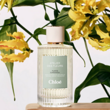 Chloé 蔻依 仙境花园系列·繁屿依兰 浓香水EDP 150ml