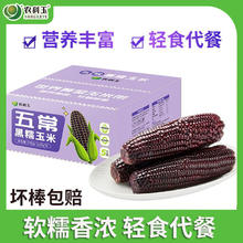 农科玉 五常黑糯玉米 220g*8根