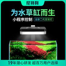 滋源生姜洗头水组合735ml