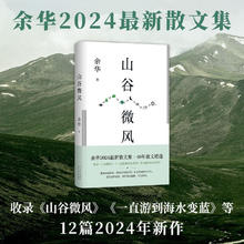 《山谷微风》（余华2024新作）