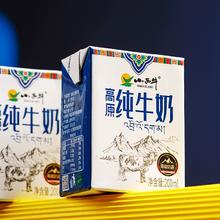小西牛旗舰店•高原纯牛奶200ml*10盒