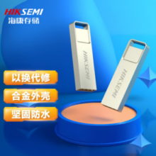 HIKVISION 海康威视 刀锋系列 X301 USB 2.0 U盘 银色 8GB USB