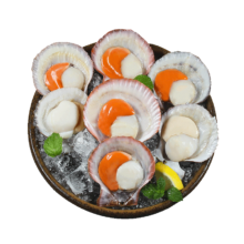 plus会员、概率券:富海锦鲜 冻半壳扇贝 400g