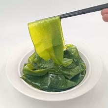 新鲜嫩薄盐渍小海带苗3斤/箱