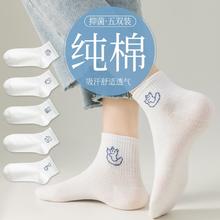 GUJIN 古今 5双装女士袜子女夏季薄款纯棉抑菌网眼透气船袜女