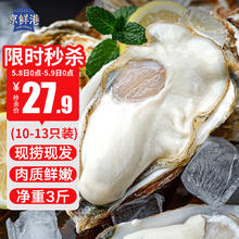 京鲜港 生蚝4斤 2XL 14-17只装 源头直发 露营烧烤