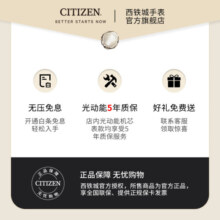 西铁城（CITIZEN）手表 光动能女士学生防水时尚潮流钢带七夕礼物送女友 EM0533-82Y