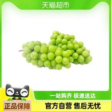 88VIP会员：MENGNIU 蒙牛 特仑苏 有机纯牛奶苗条如木装250mL*12包