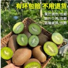 情之甄 徐香绿心猕猴桃 5斤（130g特大果）