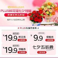促销活动：京东 PLUS会员鲜花特权 领4张减19.9元鲜花券