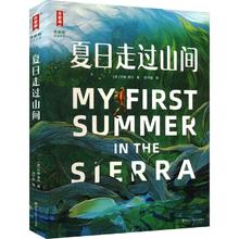 《夏日走过山间》