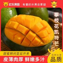 百亿补贴：Joy Tree 欢乐果园 四川攀枝花凯特芒果9-10斤大芒果当季新鲜水果特大巨甜青皮