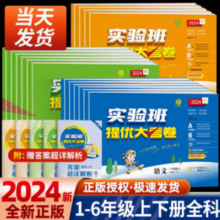 《2024版实验班提优大考卷》（年级/科目/版本任选）